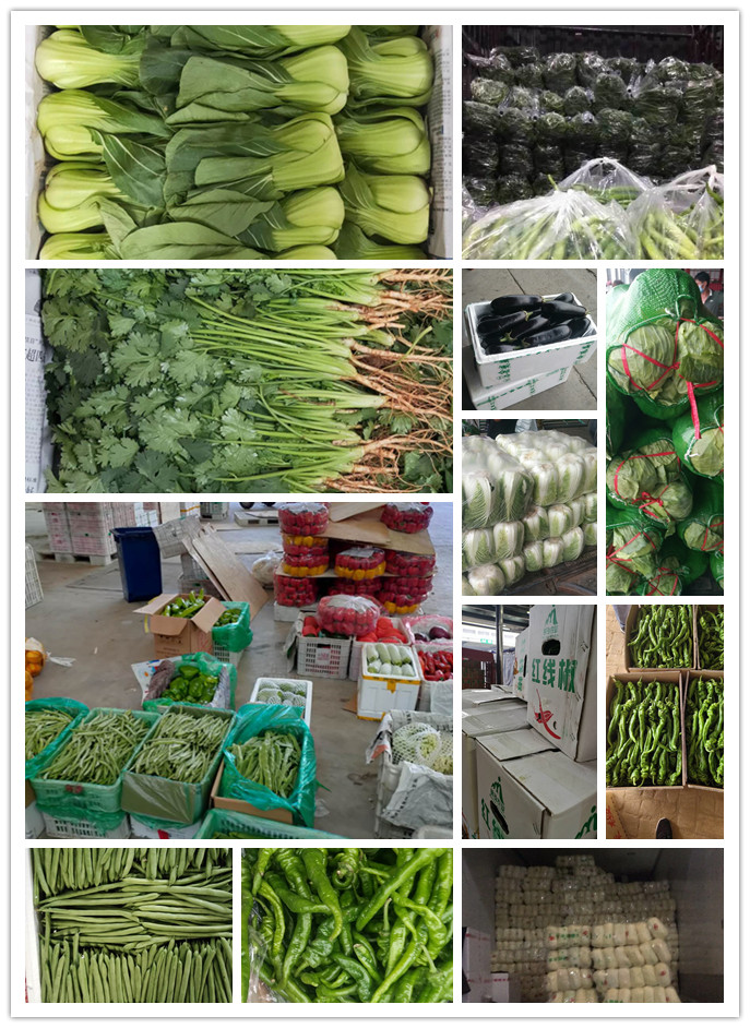 EVO厅·(中国区)视讯官网