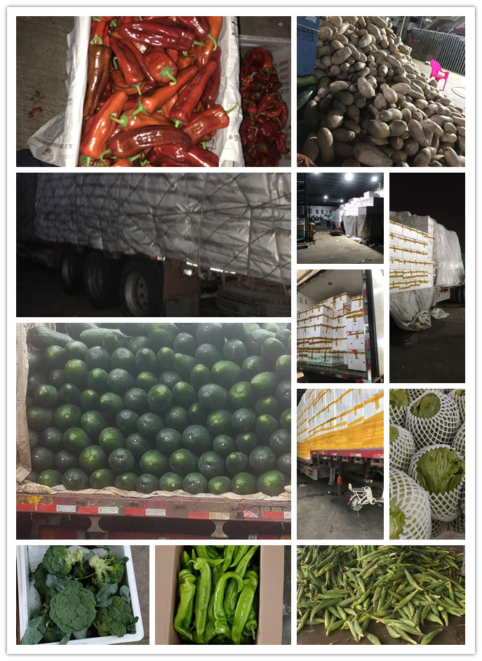 EVO厅·(中国区)视讯官网