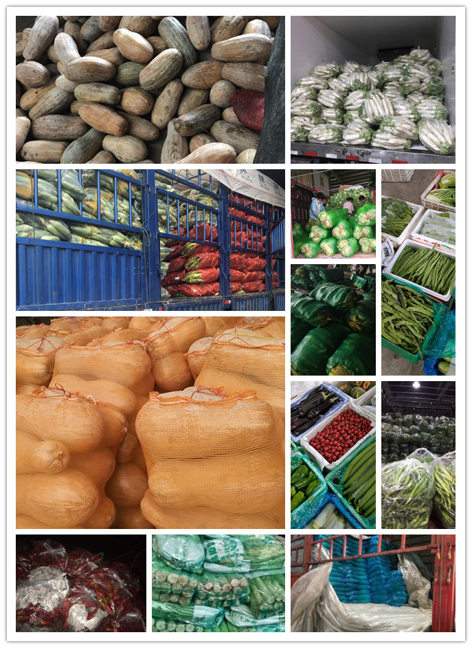 EVO厅·(中国区)视讯官网