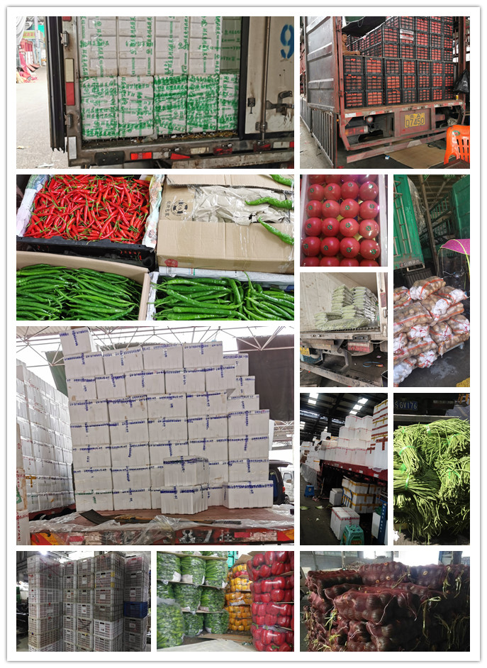 EVO厅·(中国区)视讯官网