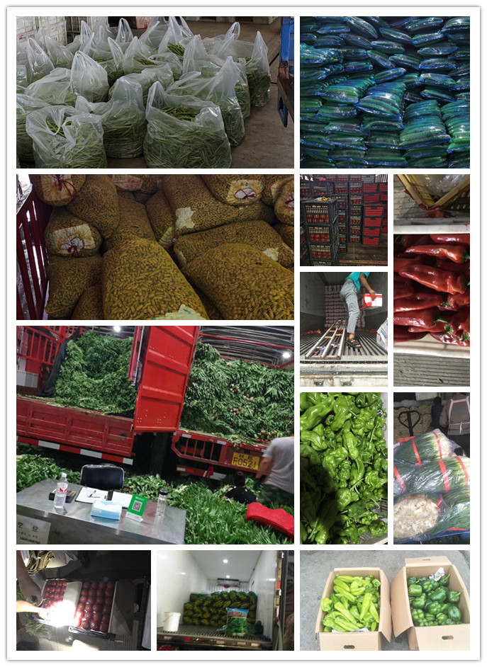 EVO厅·(中国区)视讯官网