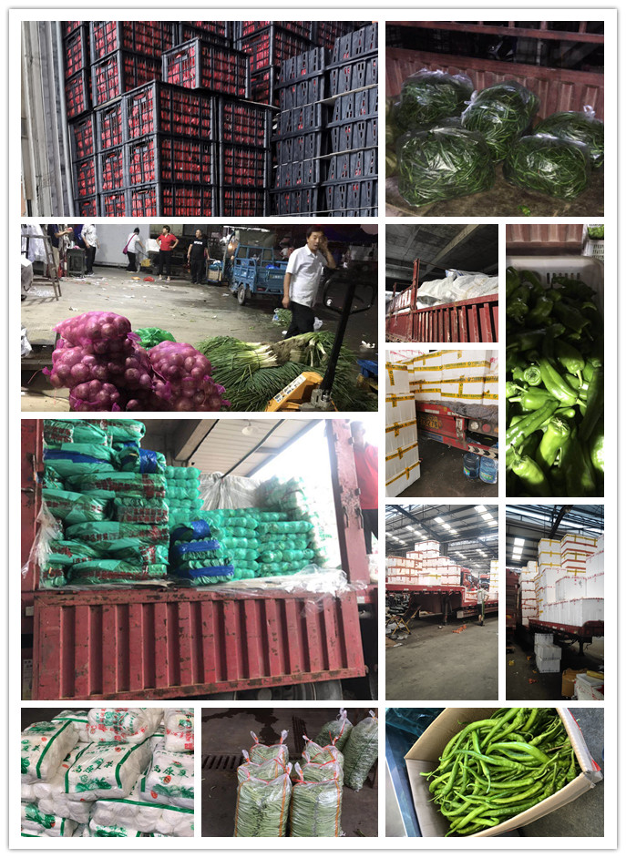 EVO厅·(中国区)视讯官网