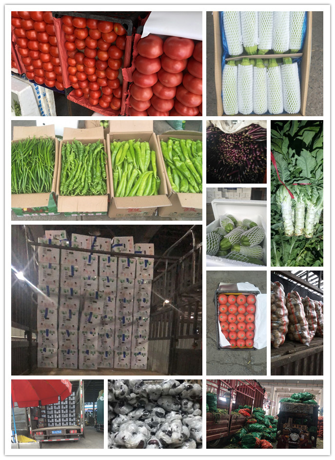 EVO厅·(中国区)视讯官网