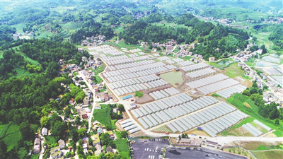 EVO厅·(中国区)视讯官网