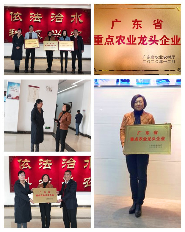 EVO厅·(中国区)视讯官网