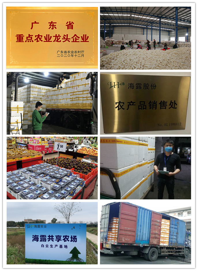 EVO厅·(中国区)视讯官网