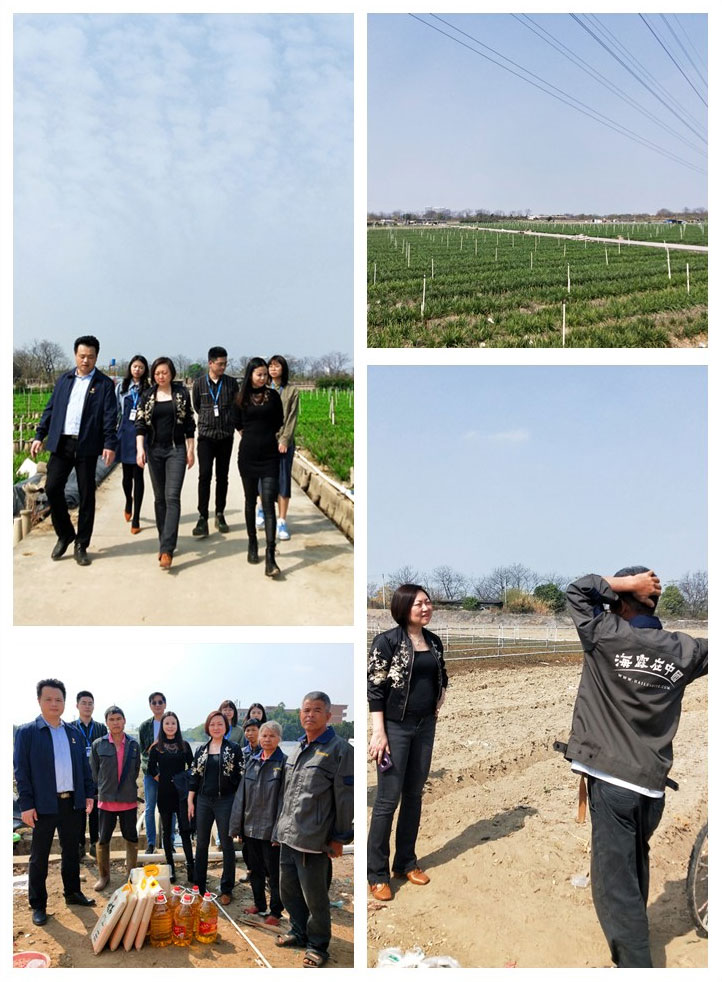 EVO厅·(中国区)视讯官网