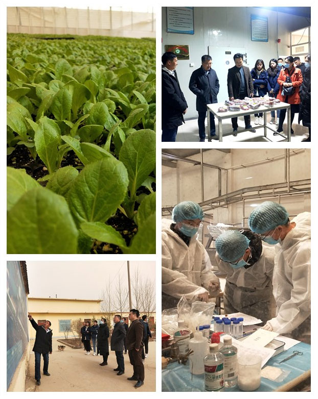 EVO厅·(中国区)视讯官网