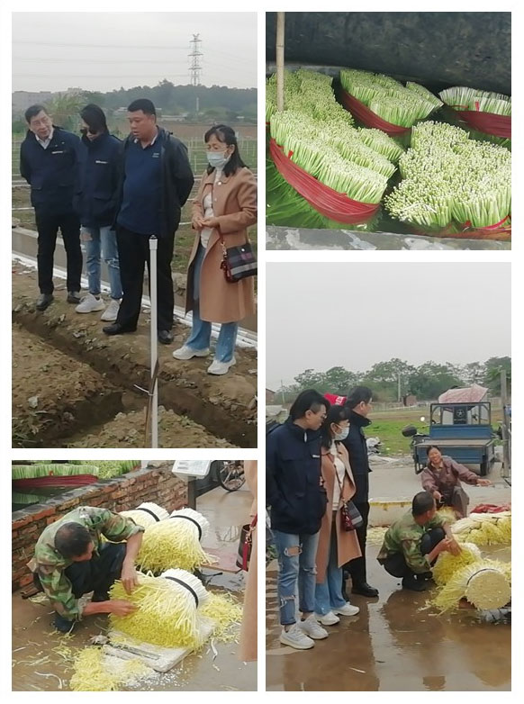 EVO厅·(中国区)视讯官网