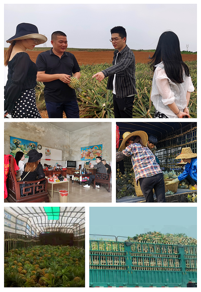 EVO厅·(中国区)视讯官网