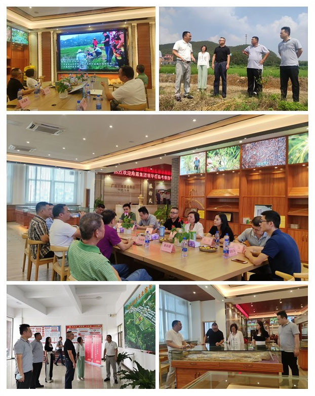 EVO厅·(中国区)视讯官网