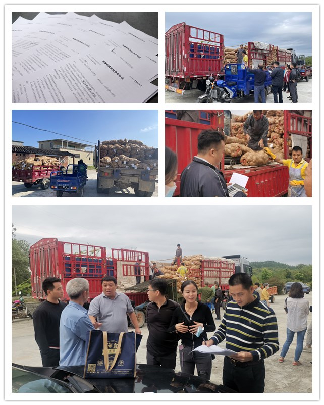 EVO厅·(中国区)视讯官网