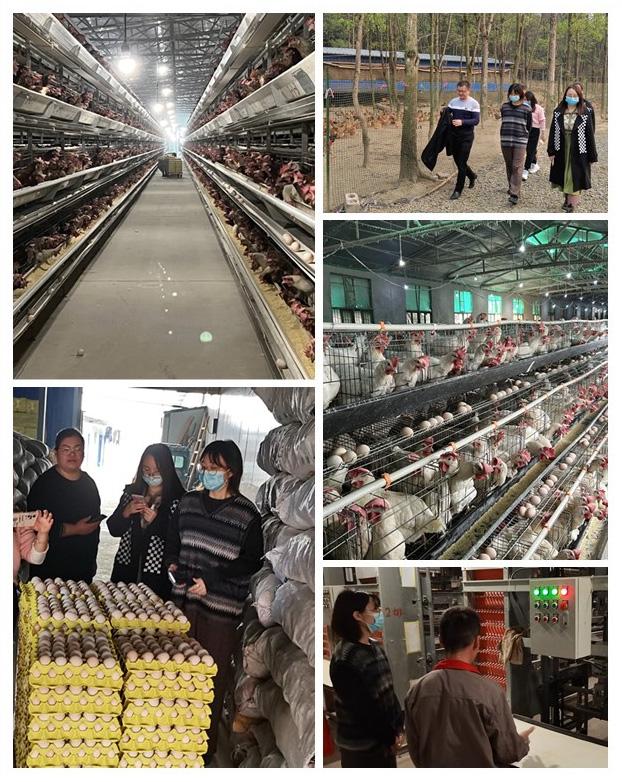 EVO厅·(中国区)视讯官网