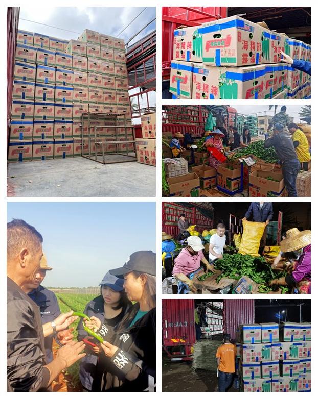 EVO厅·(中国区)视讯官网