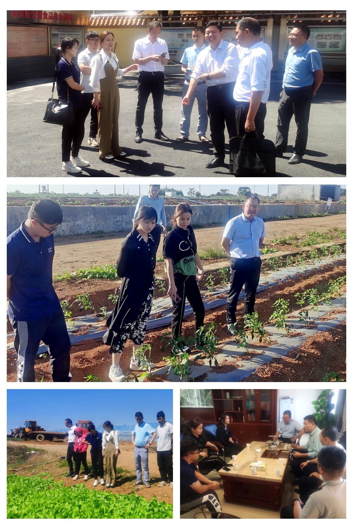 EVO厅·(中国区)视讯官网