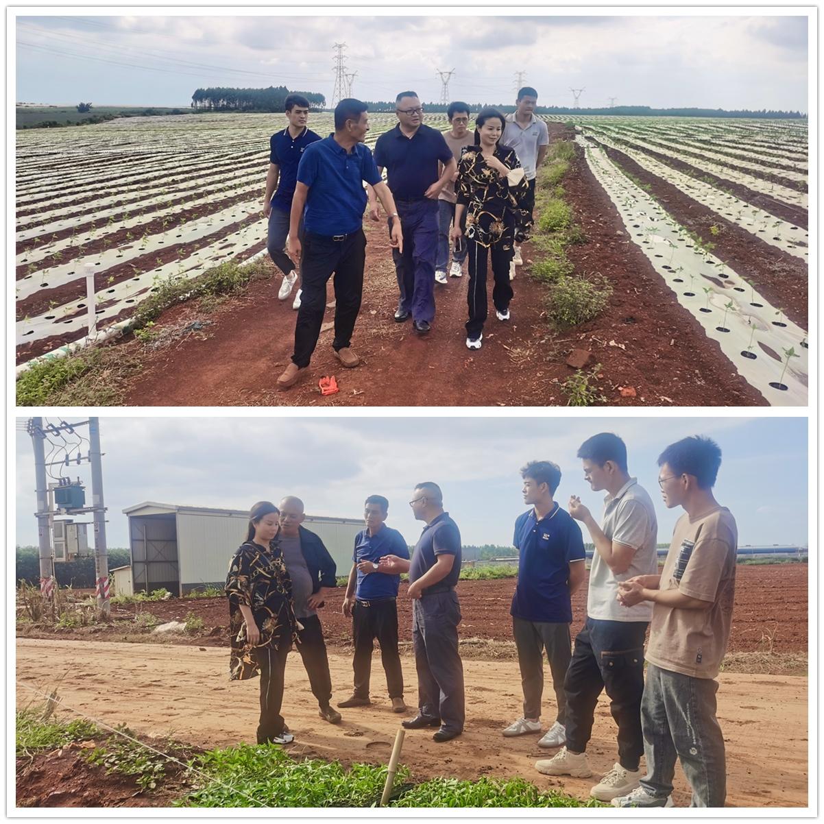 EVO厅·(中国区)视讯官网