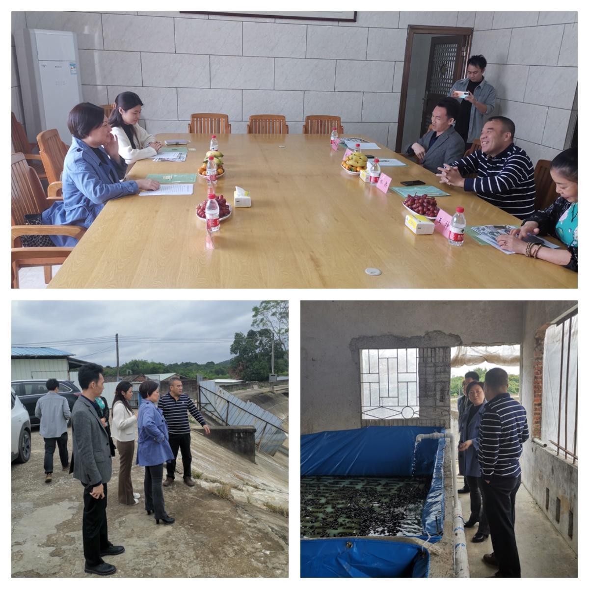 EVO厅·(中国区)视讯官网