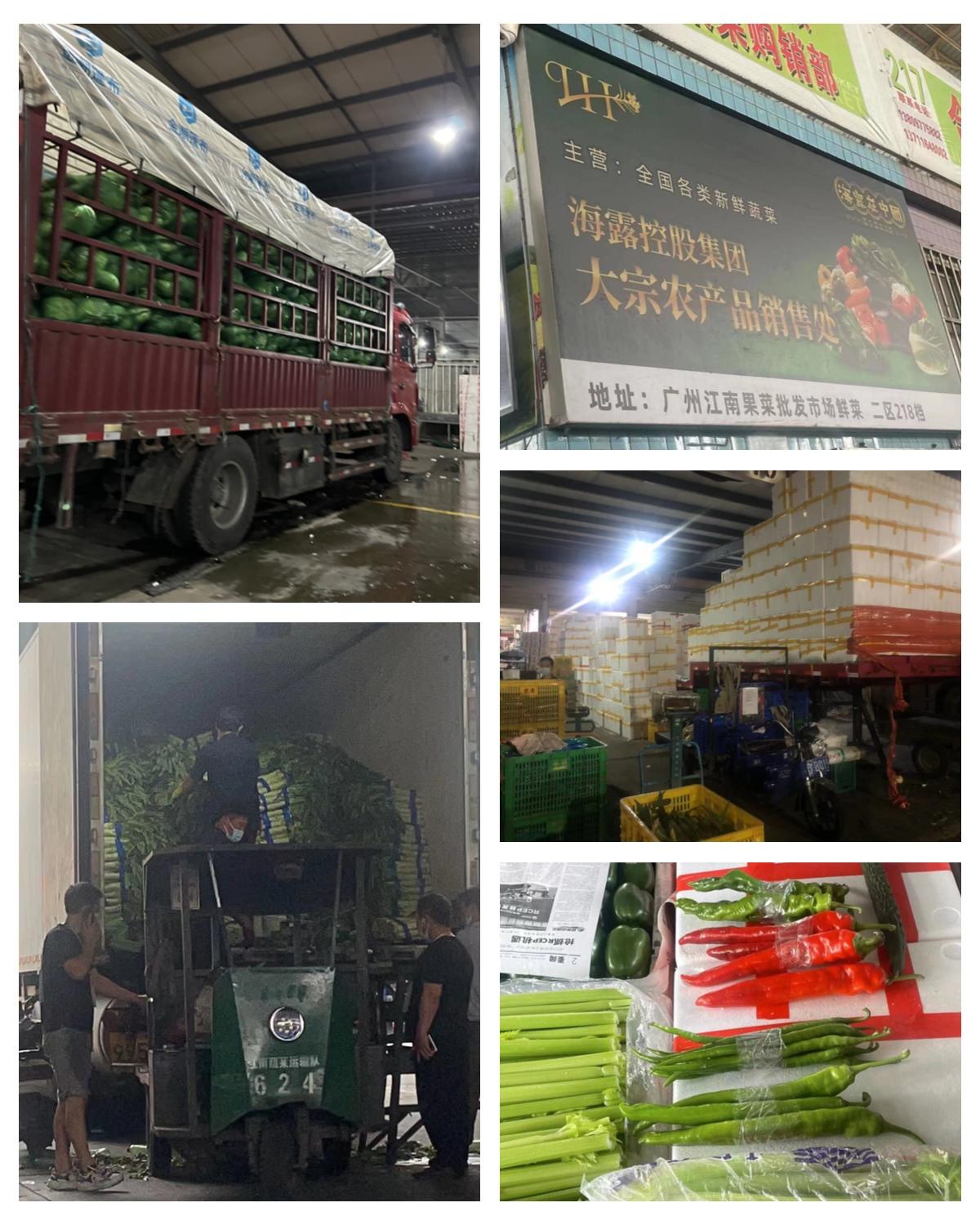 EVO厅·(中国区)视讯官网