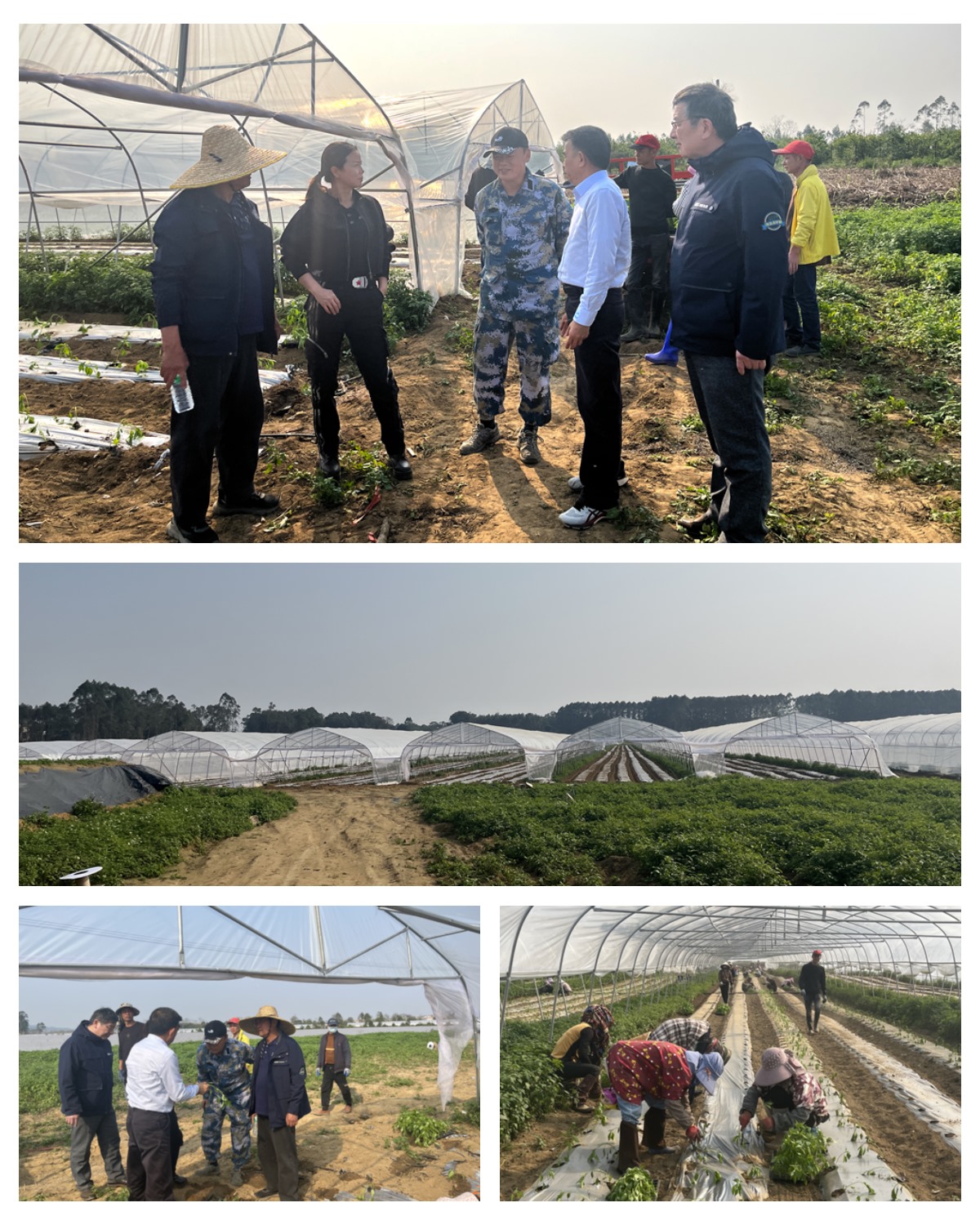 EVO厅·(中国区)视讯官网