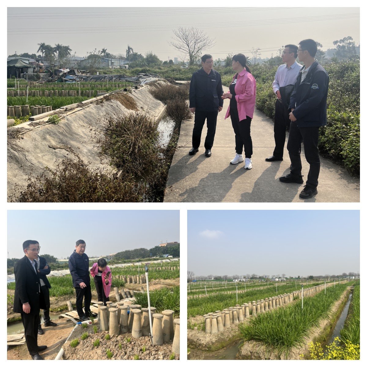 EVO厅·(中国区)视讯官网