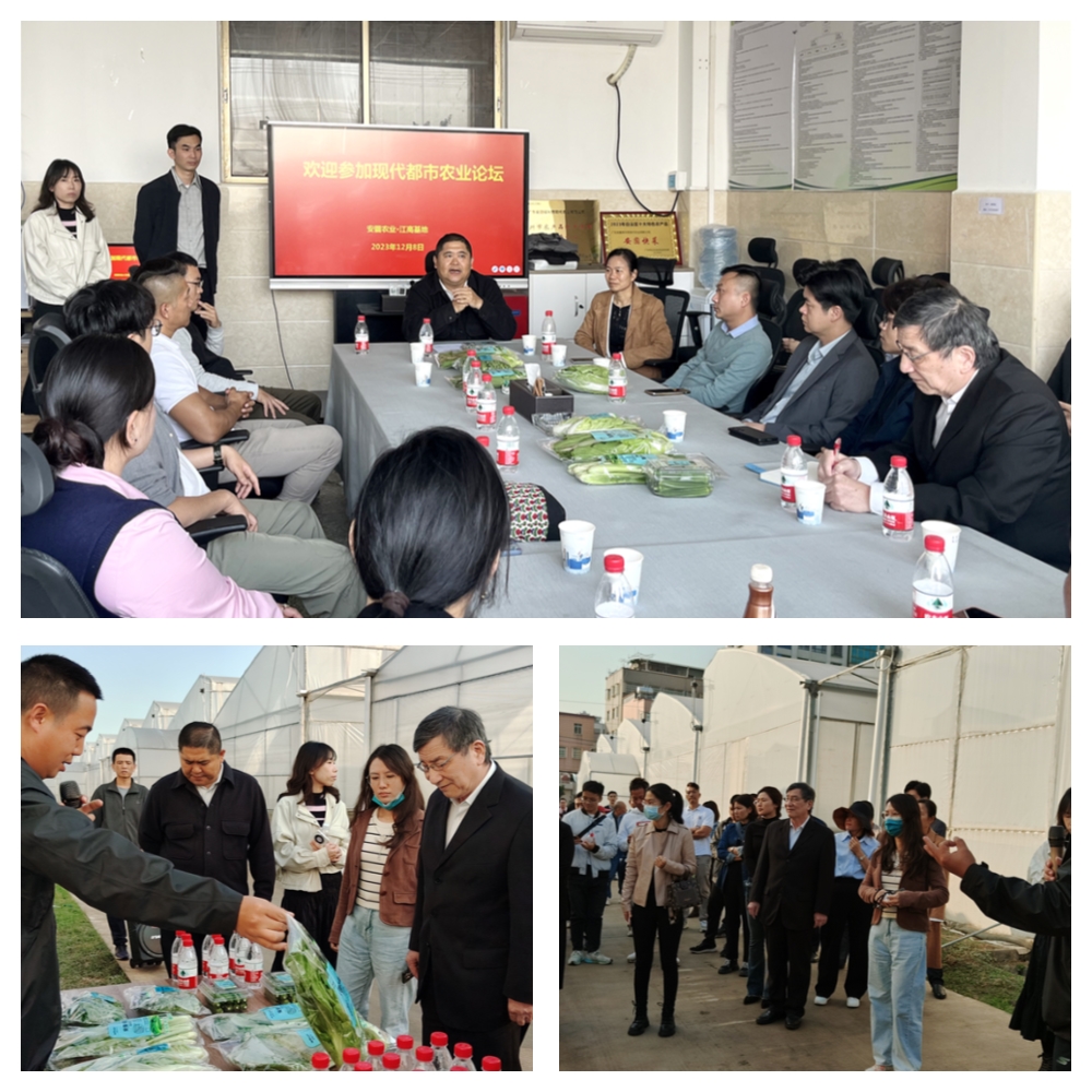 EVO厅·(中国区)视讯官网