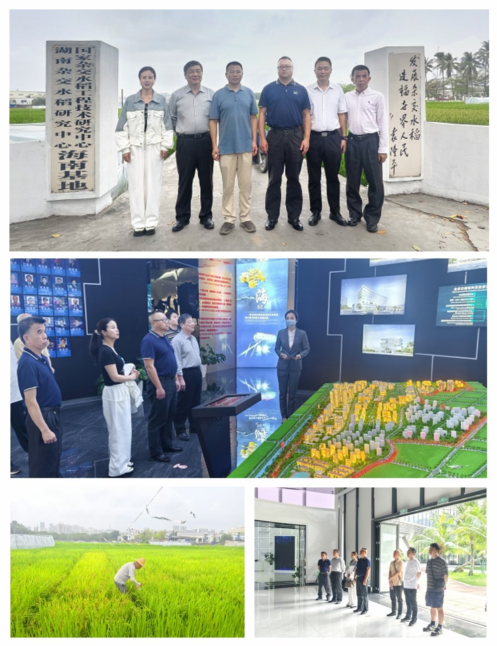 EVO厅·(中国区)视讯官网