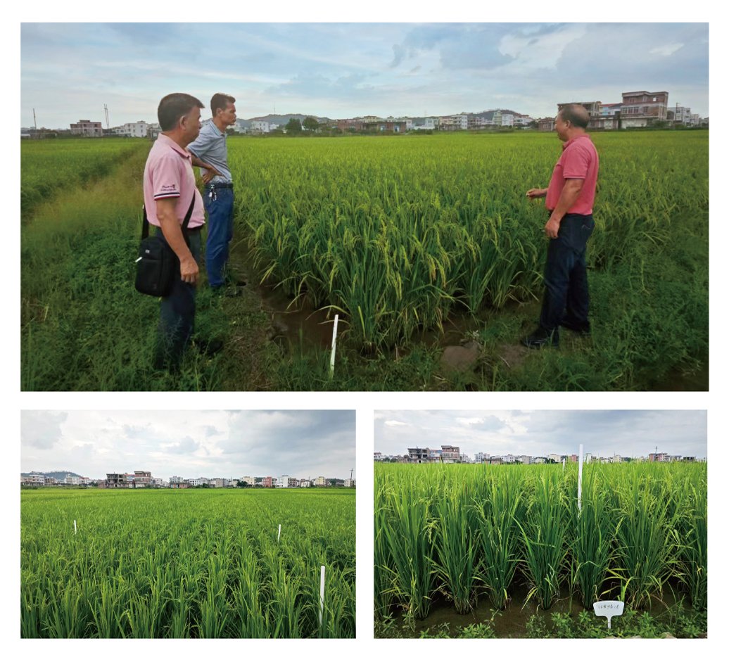 EVO厅·(中国区)视讯官网