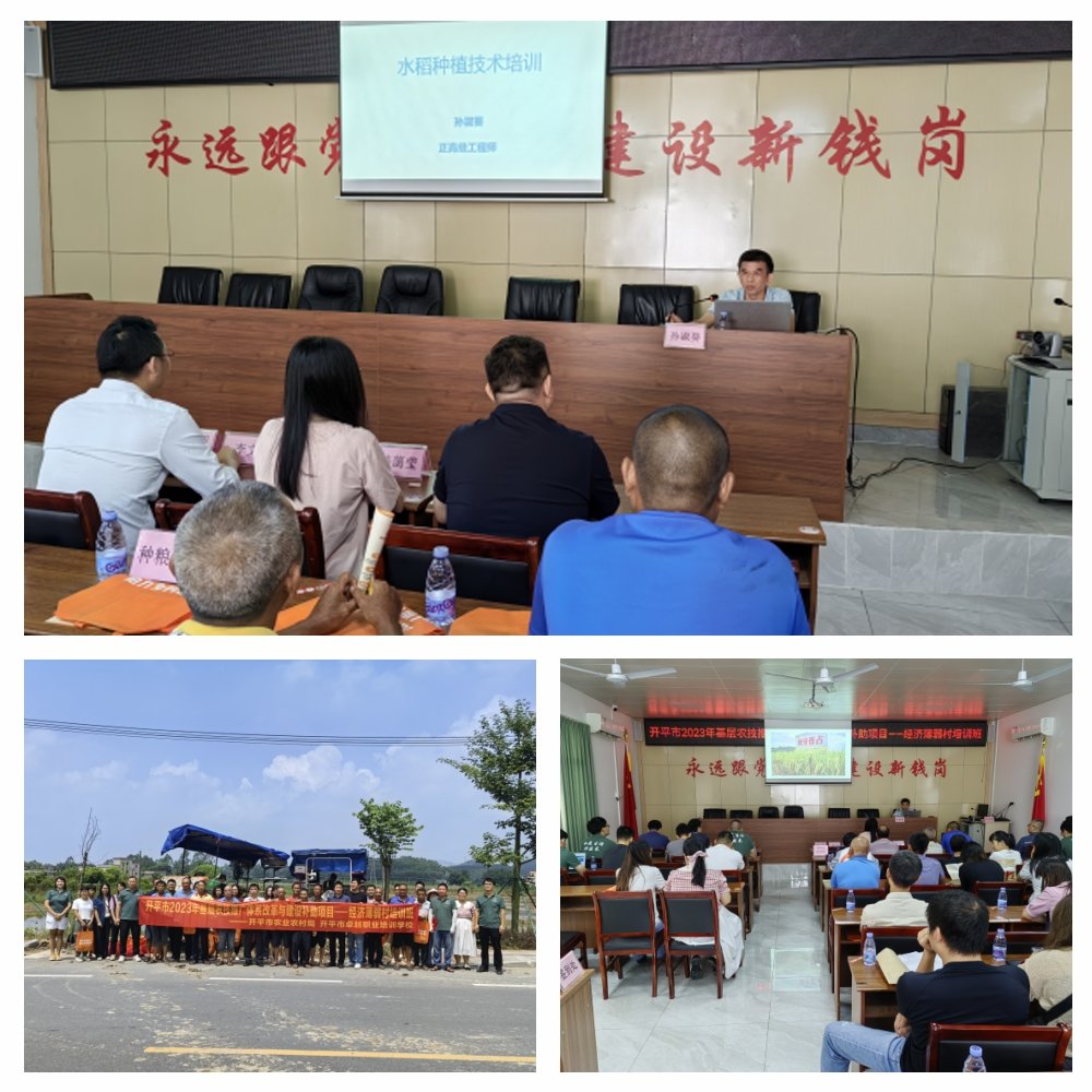 EVO厅·(中国区)视讯官网