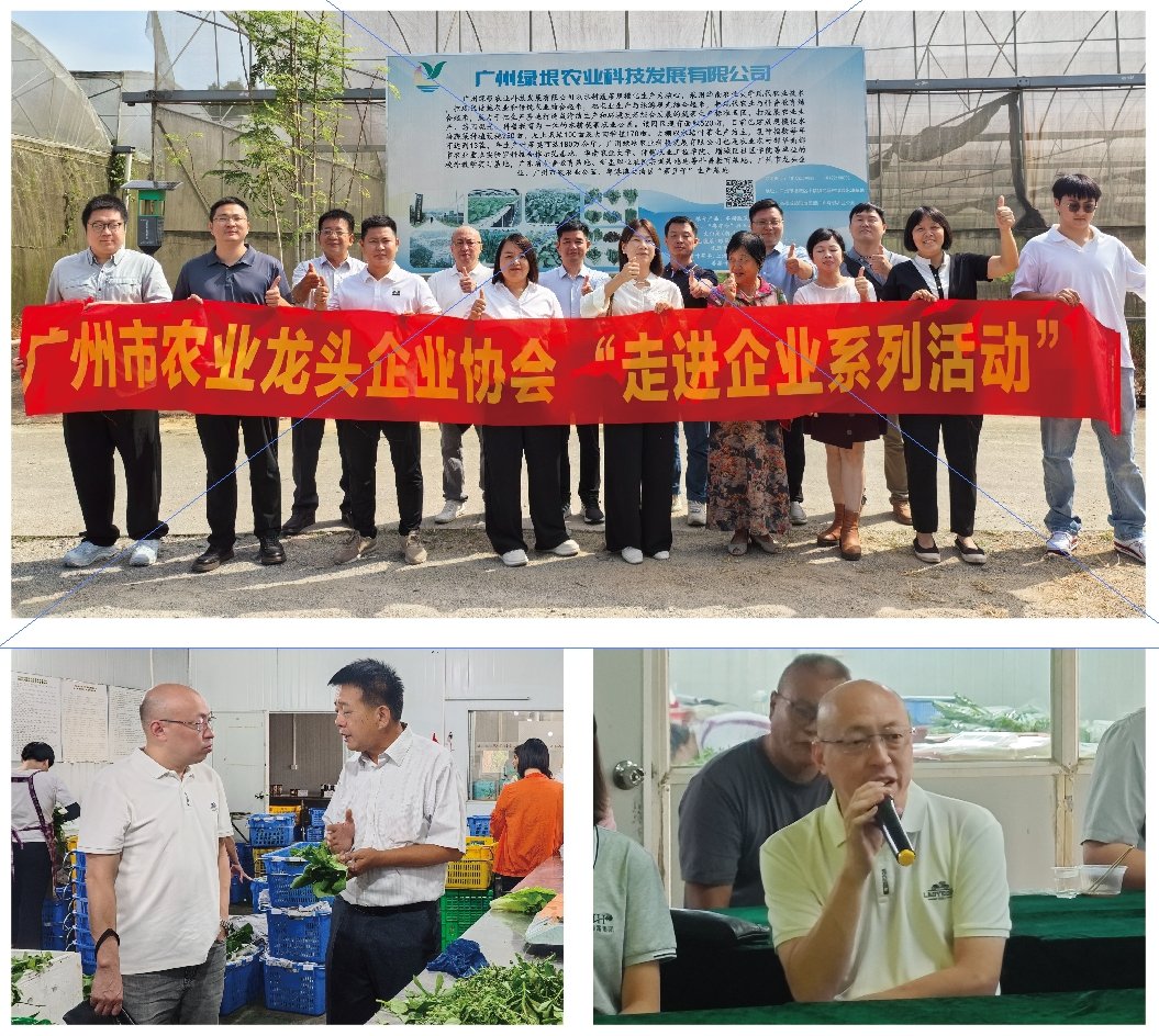 EVO厅·(中国区)视讯官网