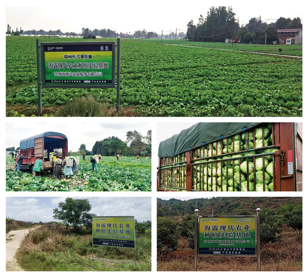 EVO厅·(中国区)视讯官网