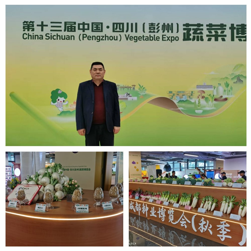 EVO厅·(中国区)视讯官网