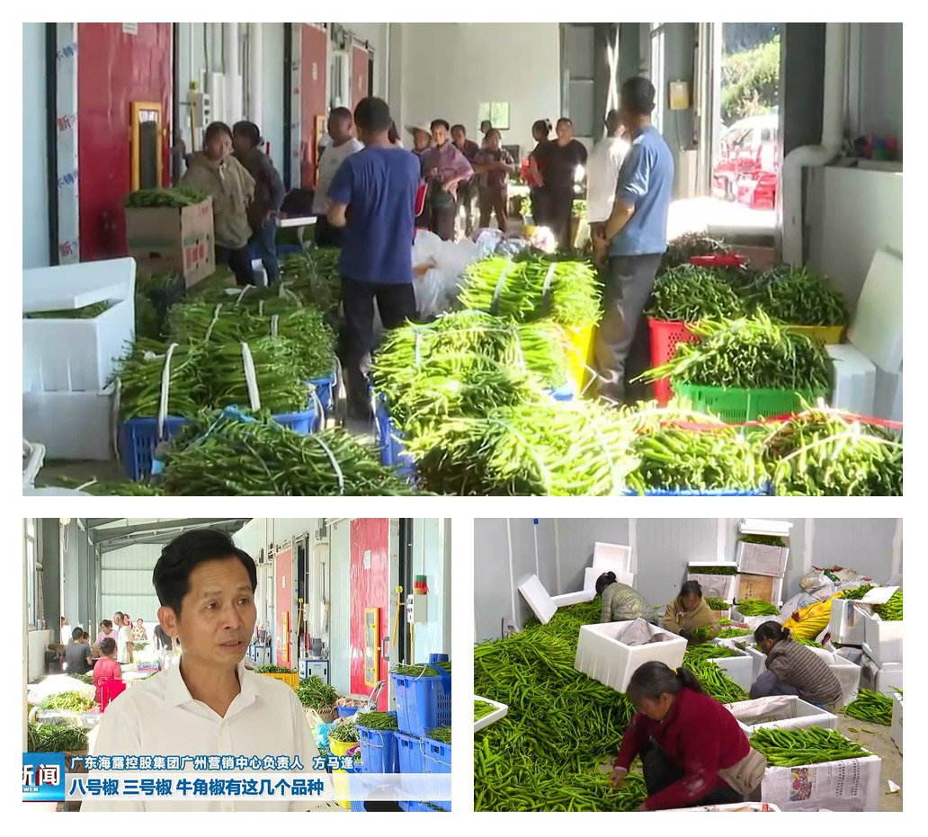 EVO厅·(中国区)视讯官网