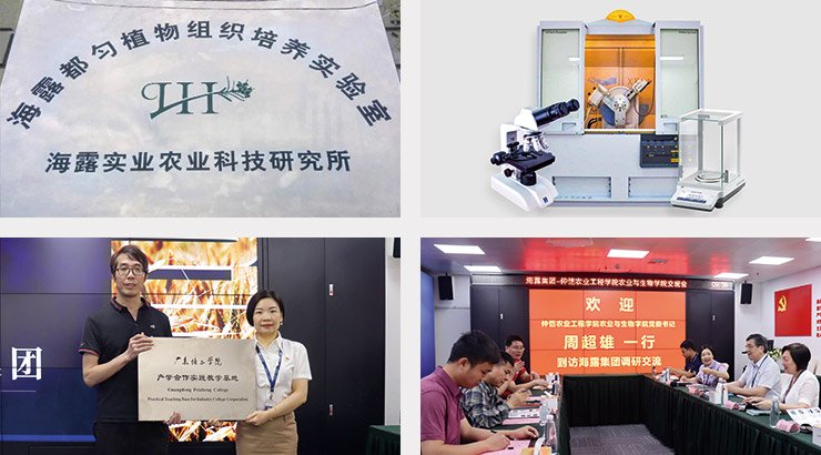 EVO厅·(中国区)视讯官网