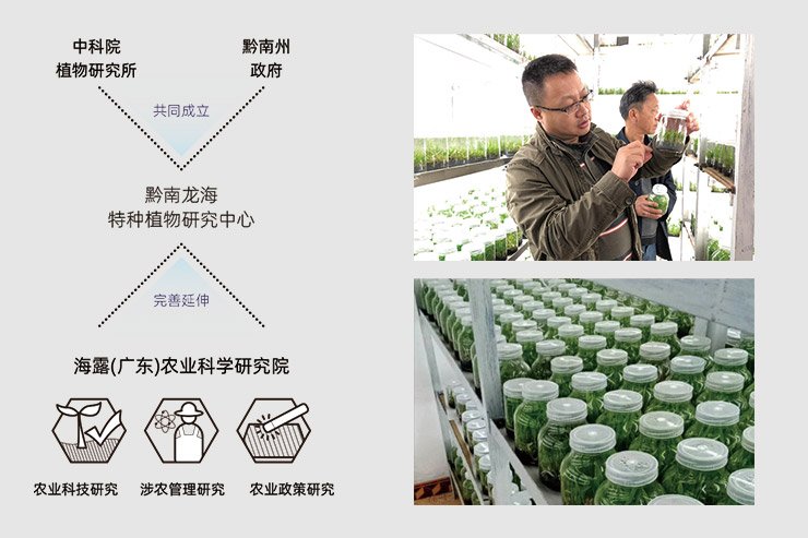 EVO厅·(中国区)视讯官网