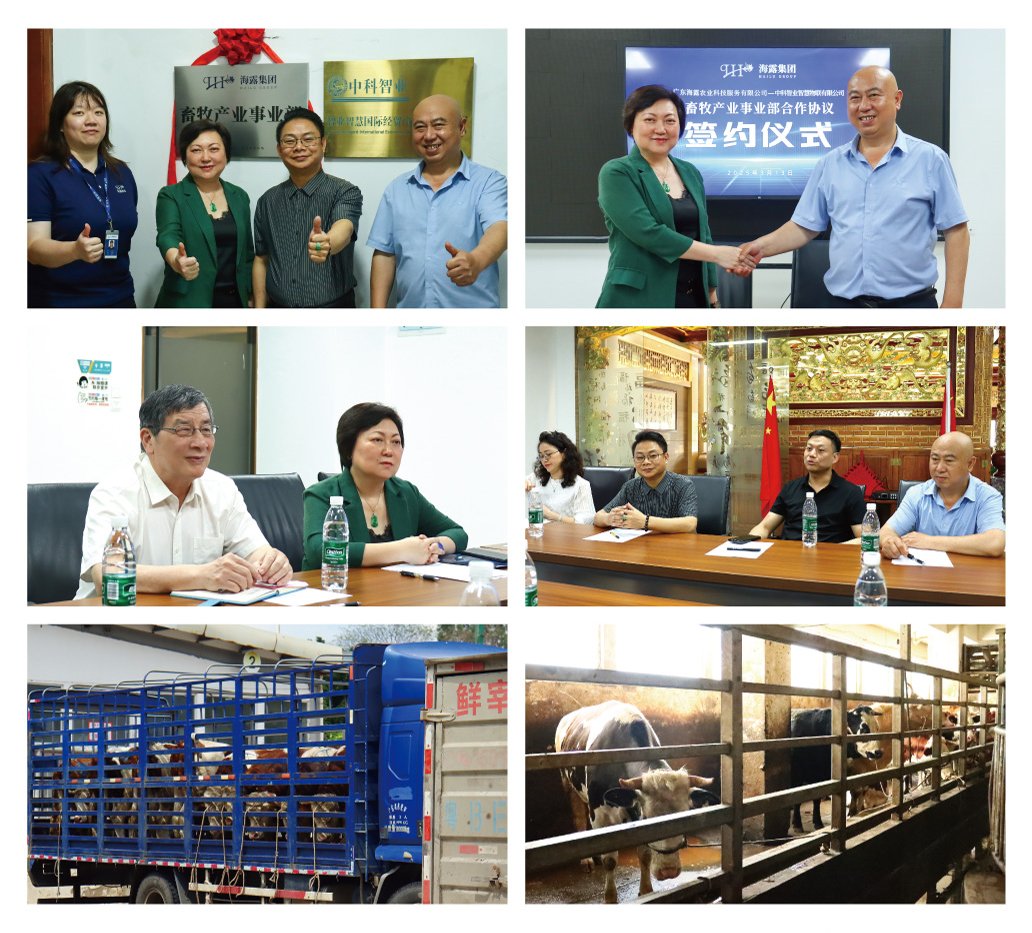 EVO厅·(中国区)视讯官网