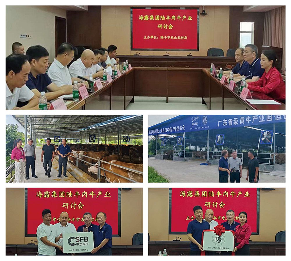 EVO厅·(中国区)视讯官网