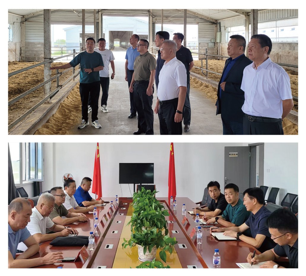 EVO厅·(中国区)视讯官网