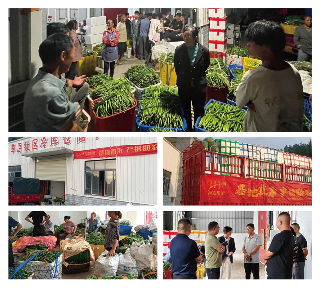 EVO厅·(中国区)视讯官网