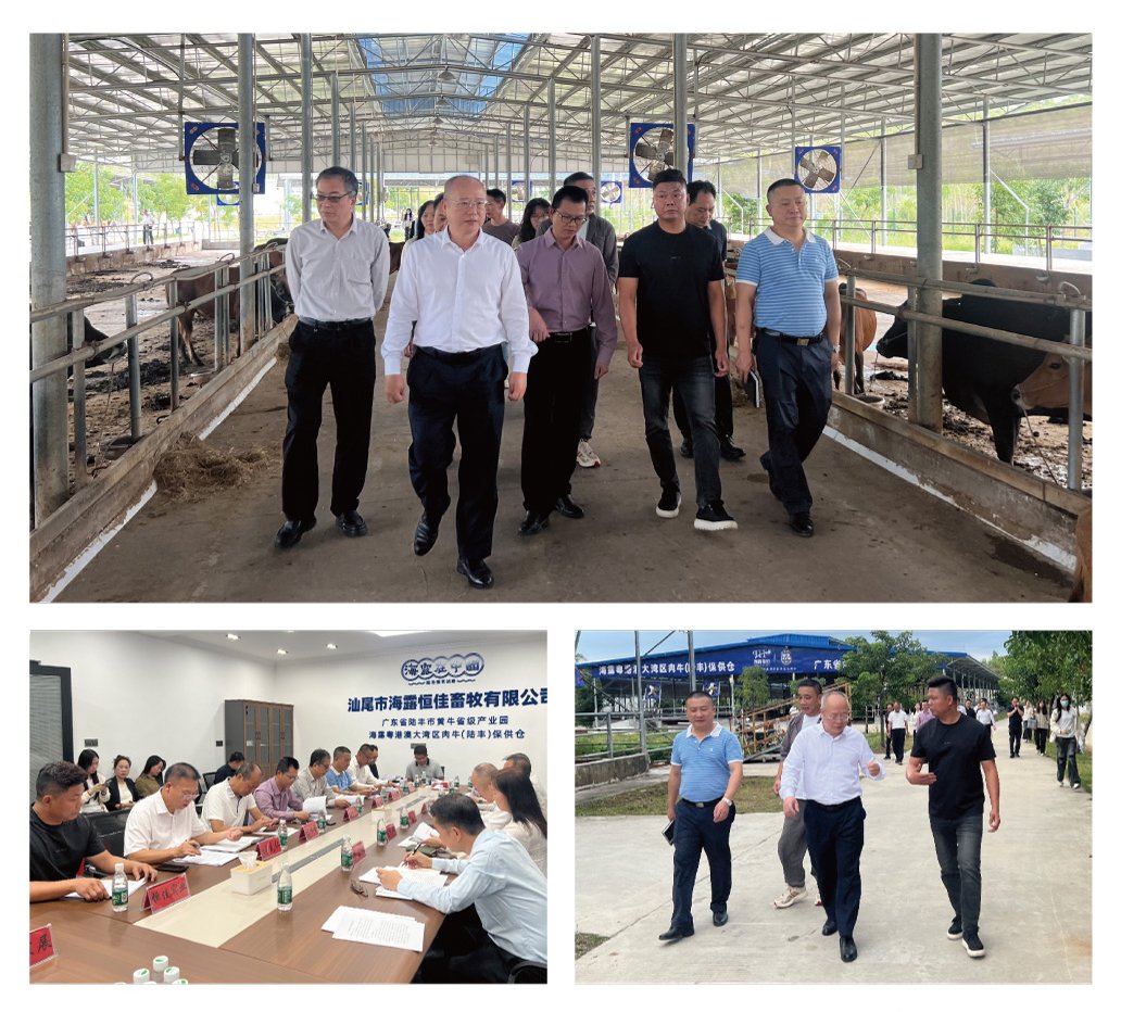 EVO厅·(中国区)视讯官网