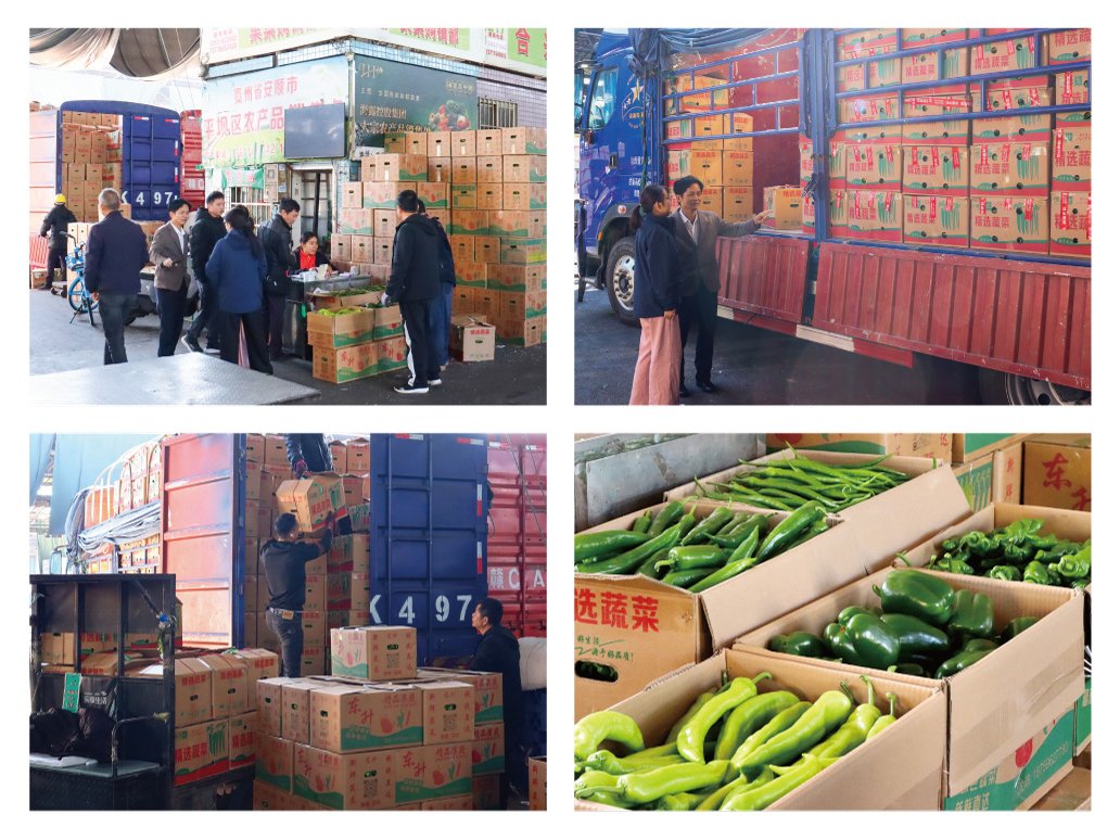 EVO厅·(中国区)视讯官网